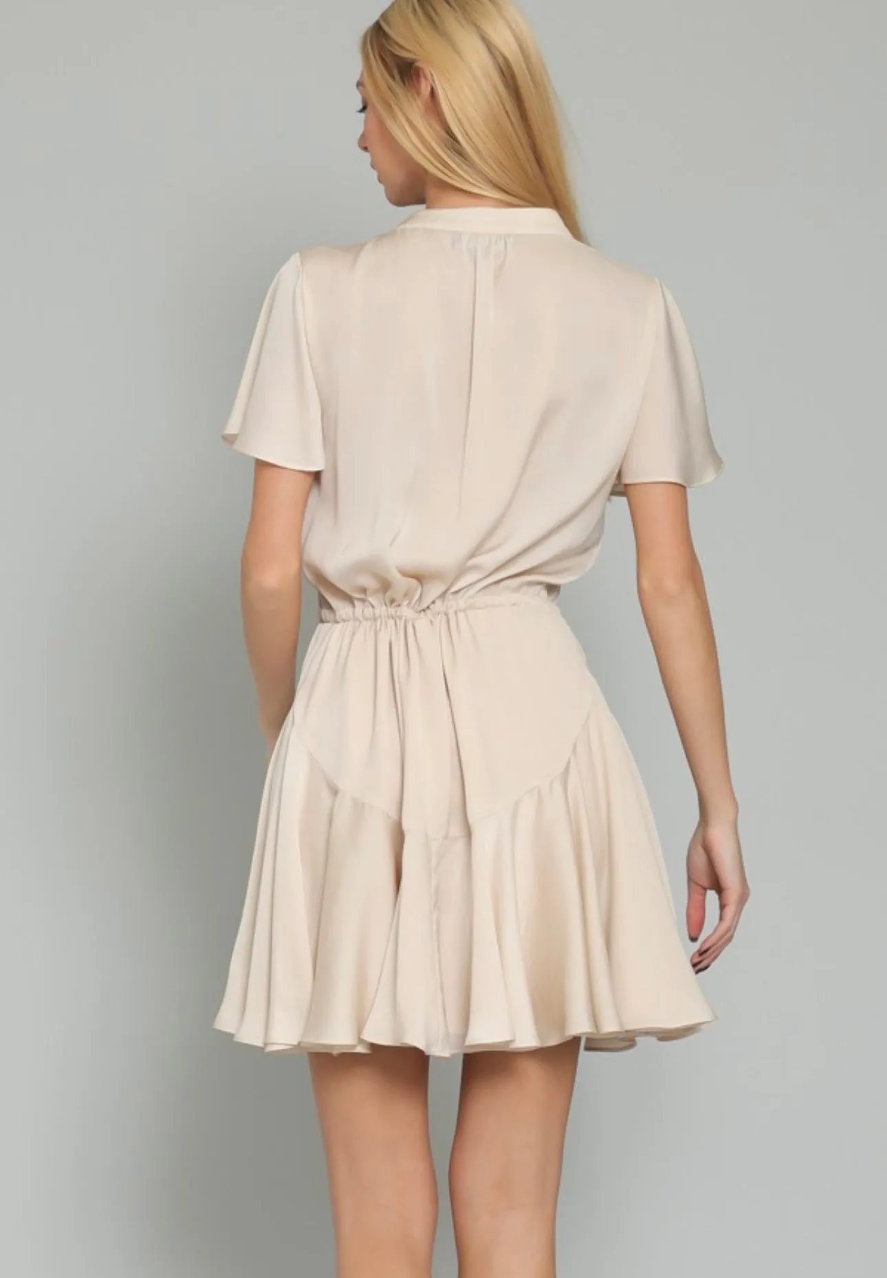 Best Wishes Mini Dress